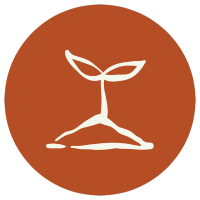 Momme | Made from biodegradable material
